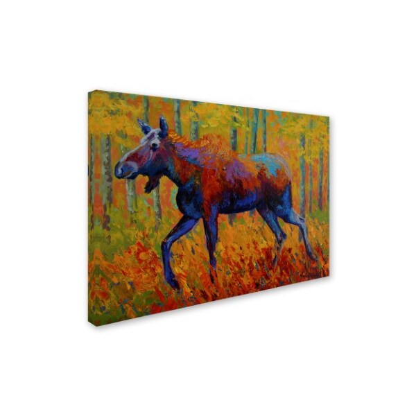 Marion Rose 'Cow Moose I' Canvas Art,24x32